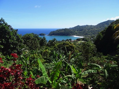 The beauty of Dominica